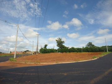 imagem 1 - Terreno - Padrão imagem 1 - Terreno - Padrão