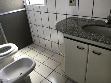 imagem 3 - Apartamento - Padrão imagem 3 - Apartamento - Padrão