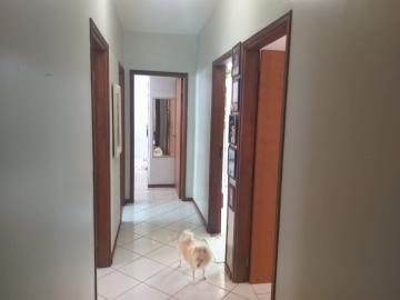 imagem 5 - Casa - Padrão imagem 5 - Casa - Padrão