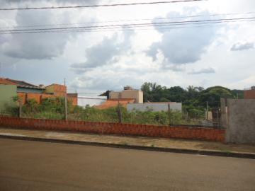 imagem 1 - Terreno - Padrão imagem 1 - Terreno - Padrão