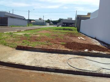 imagem 1 - Terreno - Padrão imagem 1 - Terreno - Padrão