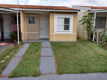 Alugar Casa / Condomínio em São Carlos. apenas R$ 1.000,00