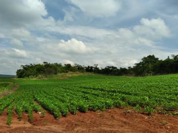 imagem 2 - Rural - Sítio imagem 2 - Rural - Sítio