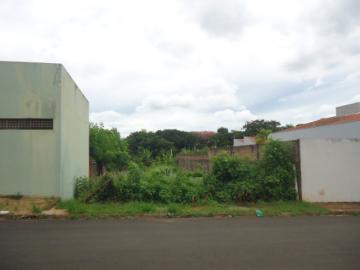imagem 1 - Terreno - Padrão imagem 1 - Terreno - Padrão