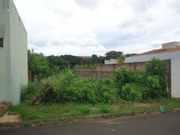imagem 2 - Terreno - Padrão imagem 2 - Terreno - Padrão