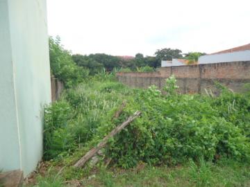 imagem 5 - Terreno - Padrão imagem 5 - Terreno - Padrão