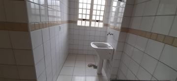 imagem 5 - Apartamento - Padrão imagem 5 - Apartamento - Padrão