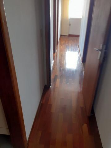 imagem 2 - Apartamento - Padrão imagem 2 - Apartamento - Padrão