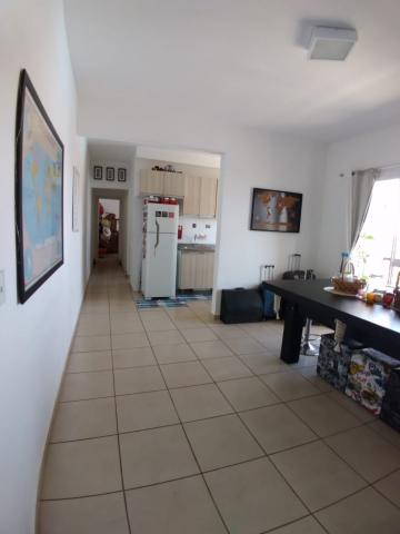 imagem 3 - Apartamento - Padrão imagem 3 - Apartamento - Padrão