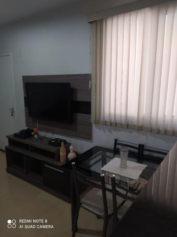 Alugar Apartamento / Padrão em Araraquara. apenas R$ 135.000,00