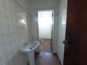 Alugar Casa / Padrão em São Carlos R$ 5.556,00 - Foto 8 Alugar Casa / Padrão em São Carlos R$ 5.556,00 - Foto 8