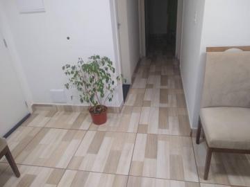 imagem 3 - Apartamento - Padrão imagem 3 - Apartamento - Padrão