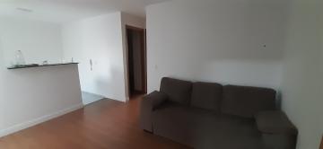 imagem 2 - Apartamento - Padrão imagem 2 - Apartamento - Padrão