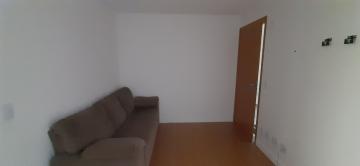 imagem 3 - Apartamento - Padrão imagem 3 - Apartamento - Padrão