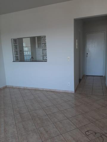 imagem 3 - Apartamento - Padrão imagem 3 - Apartamento - Padrão