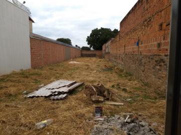 imagem 1 - Terreno - Padrão imagem 1 - Terreno - Padrão