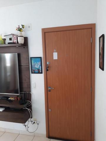 imagem 2 - Apartamento - Padrão imagem 2 - Apartamento - Padrão