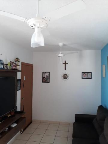 imagem 3 - Apartamento - Padrão imagem 3 - Apartamento - Padrão