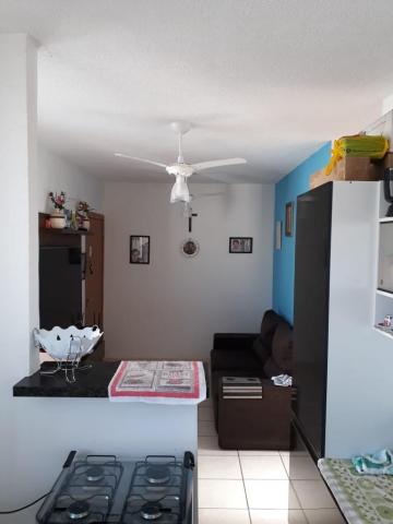 imagem 4 - Apartamento - Padrão imagem 4 - Apartamento - Padrão