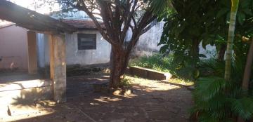 imagem 4 - Casa - Padrão imagem 4 - Casa - Padrão