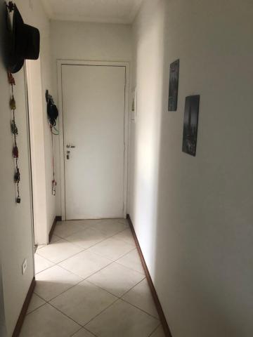 imagem 3 - Apartamento - Padrão imagem 3 - Apartamento - Padrão