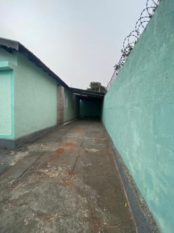 Alugar Casa / Padrão em São Carlos R$ 1.234,00 - Foto 5 Alugar Casa / Padrão em São Carlos R$ 1.234,00 - Foto 5