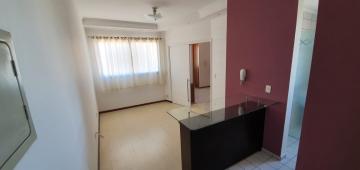 imagem 2 - Apartamento - Padrão imagem 2 - Apartamento - Padrão