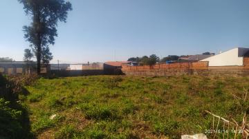 imagem 1 - Terreno - Padrão imagem 1 - Terreno - Padrão