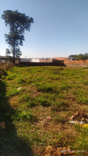 imagem 2 - Terreno - Padrão imagem 2 - Terreno - Padrão