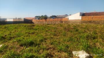 imagem 5 - Terreno - Padrão imagem 5 - Terreno - Padrão