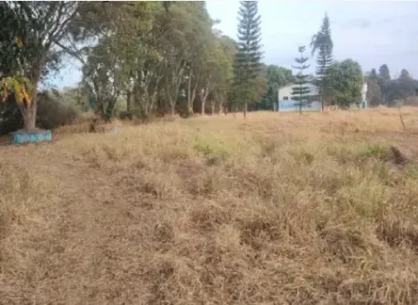 imagem 4 - Rural - Área imagem 4 - Rural - Área