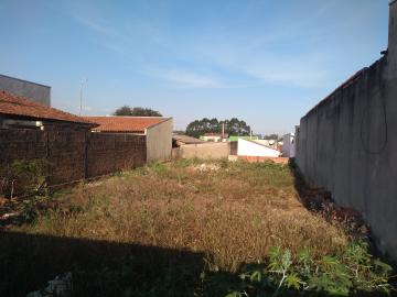 imagem 1 - Terreno - Padrão imagem 1 - Terreno - Padrão