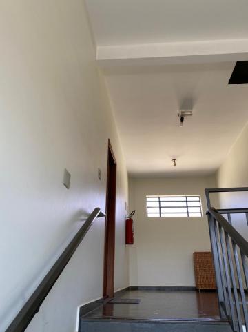 imagem 5 - Apartamento - Padrão imagem 5 - Apartamento - Padrão