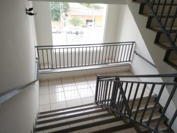imagem 3 - Apartamento - Padrão imagem 3 - Apartamento - Padrão