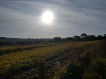 imagem 2 - Rural - Sítio imagem 2 - Rural - Sítio