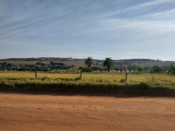 imagem 1 - Rural - Sítio imagem 1 - Rural - Sítio