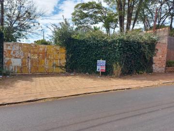 Alugar Casa / Padrão em Araraquara. apenas R$ 660.000,00