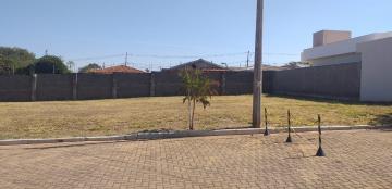 Comprar Terreno / Condomínio em Araraquara R$ 128.000,00 - Foto 7 Comprar Terreno / Condomínio em Araraquara R$ 128.000,00 - Foto 7