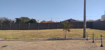 Comprar Terreno / Condomínio em Araraquara R$ 128.000,00 - Foto 9 Comprar Terreno / Condomínio em Araraquara R$ 128.000,00 - Foto 9
