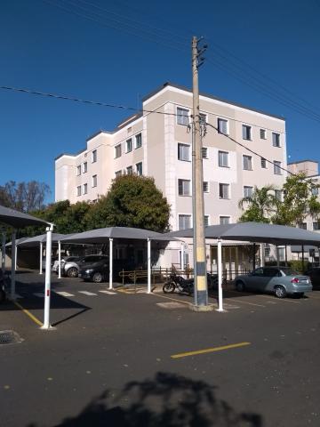 imagem 2 - Apartamento - Padrão imagem 2 - Apartamento - Padrão