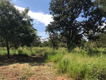 imagem 1 - Rural - Área imagem 1 - Rural - Área
