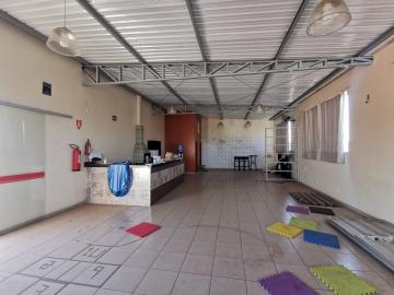 Alugar Comercial / Sala em Araraquara. apenas R$ 1.700,00