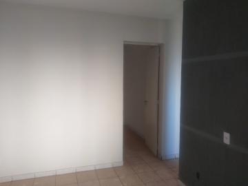 Alugar Apartamento / Apartamento sem condomínio em Araraquara. apenas R$ 560,00