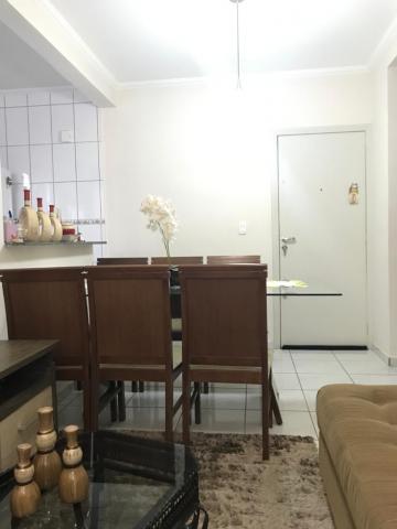 imagem 3 - Apartamento - Padrão imagem 3 - Apartamento - Padrão