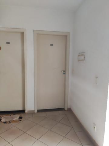 imagem 3 - Apartamento - Padrão imagem 3 - Apartamento - Padrão