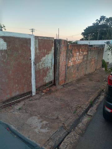 imagem 1 - Terreno - Padrão imagem 1 - Terreno - Padrão