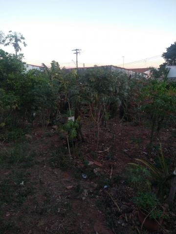 imagem 2 - Terreno - Padrão imagem 2 - Terreno - Padrão