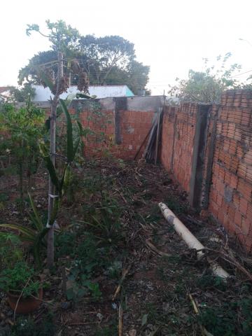 imagem 5 - Terreno - Padrão imagem 5 - Terreno - Padrão