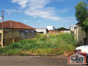 imagem 2 - Terreno - Padrão imagem 2 - Terreno - Padrão