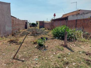 imagem 2 - Terreno - Padrão imagem 2 - Terreno - Padrão